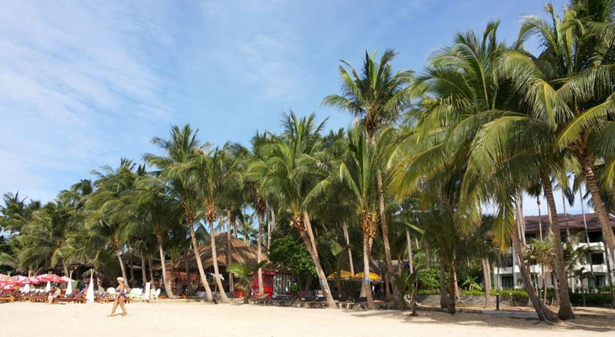 Coconut Beach Resort Lamai Beach  Exterior foto